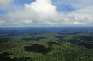 Brasil flexibiliza licencias ambientales en vísperas de la COP30: entre la promesa verde y el petróleo