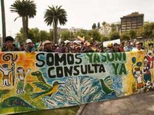Contacto forzoso: un crimen silencioso en el Yasuní