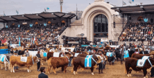 Comienza en Buenos Aires la 137ª Exposición Rural, el gran escaparate del agro argentino