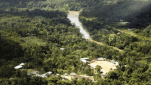 Sarayaku sigue esperando: 1.400 kilos de dinamita bajo la selva