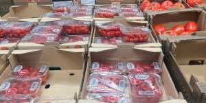 La Eurocámara aprueba por un voto el etiquetado regional para productos del Sáhara Occidental