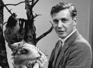 David Attenborough cumple 100 años: un siglo narrando la belleza y la fragilidad del planeta