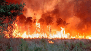 España afronta el mayor incendio forestal de su historia reciente mientras Francia combate una «tormenta de fuego»