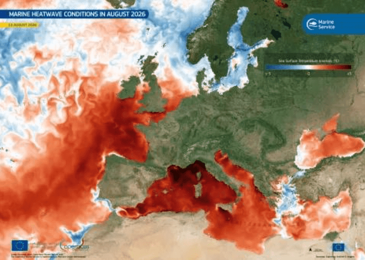 Anomalías de la temperatura superficial del Mediterráneo. Las zonas rojas corresponden a aguas más cálidas que la media histórica. © Copernicus Marine Service.